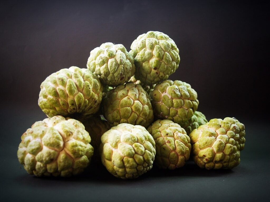 Custard Apple Epal Kastard